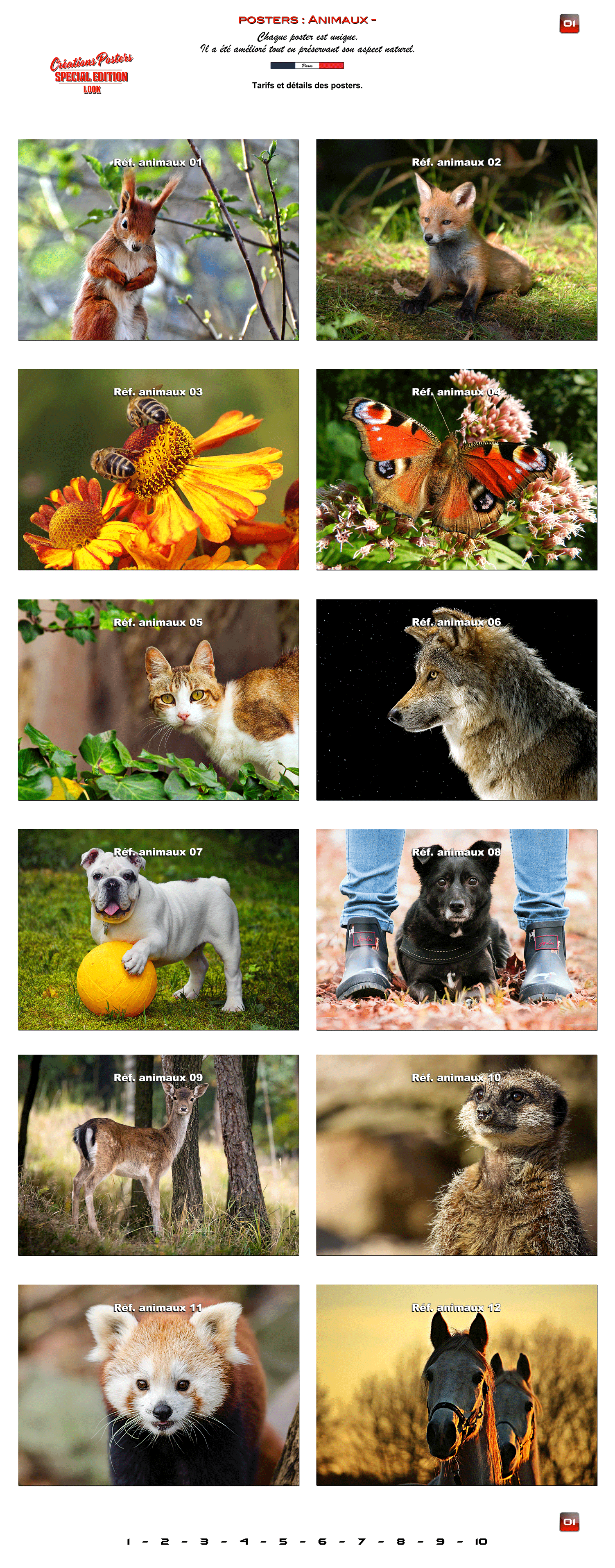 animaux1